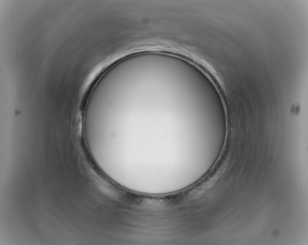 X0000091211509200708091104
