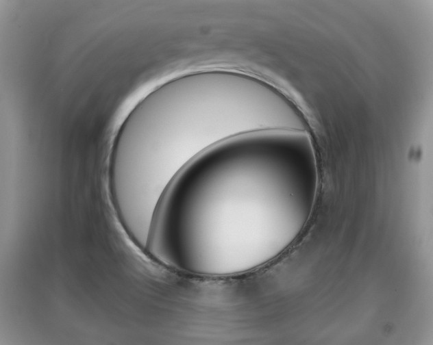 X0000091211512200708091104