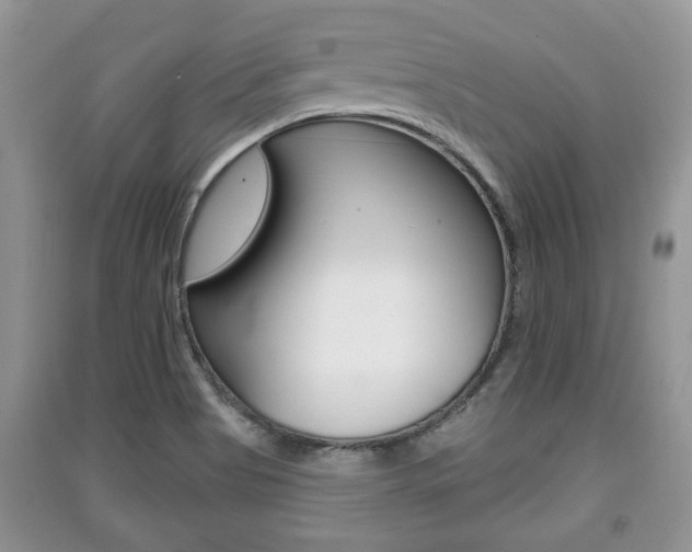 X0000091211513200708091104