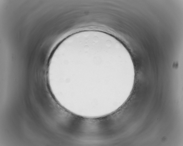 X0000091211514200708091104