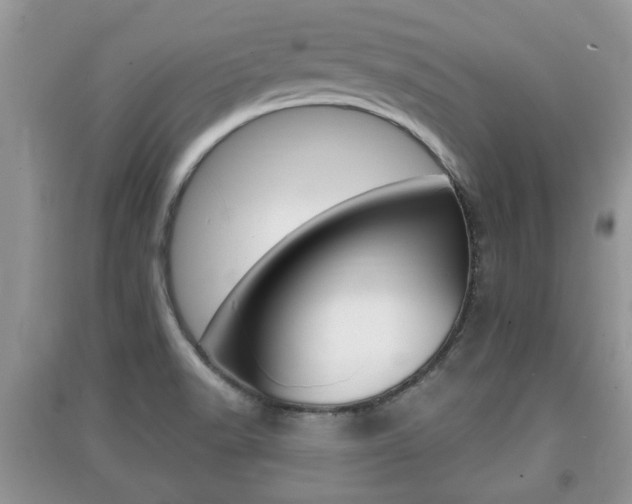 X0000091211518200708091104