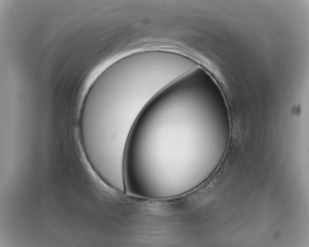 X0000091211520200708091104