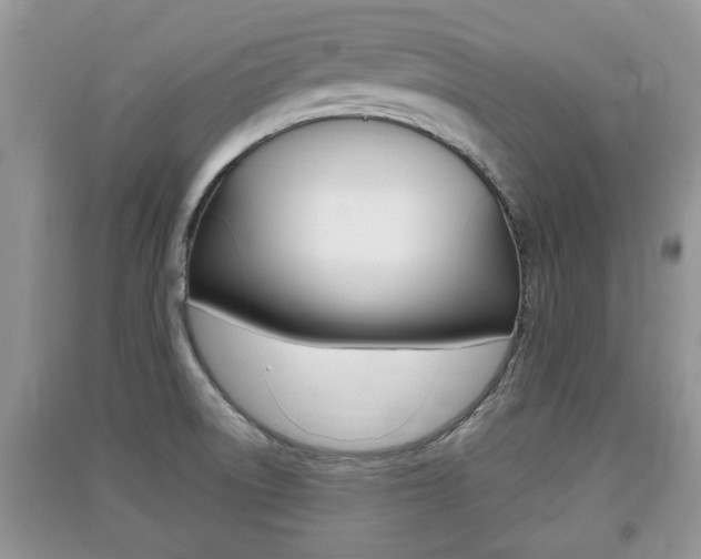 X0000091211522200708091104
