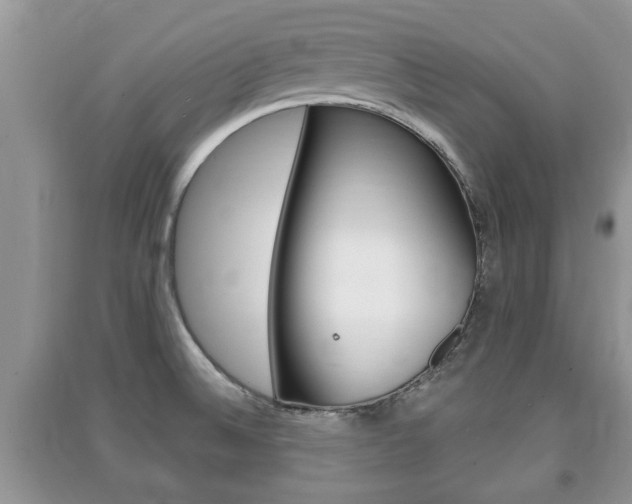 X0000091211524200708091104
