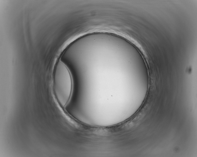 X0000091211525200708091104