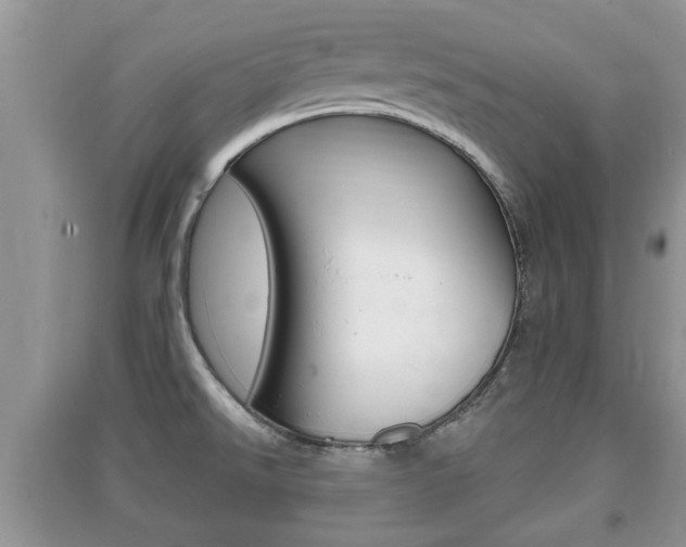 X0000091211526200708091104