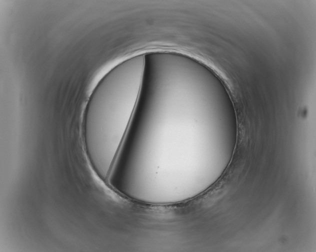 X0000091211527200708091104