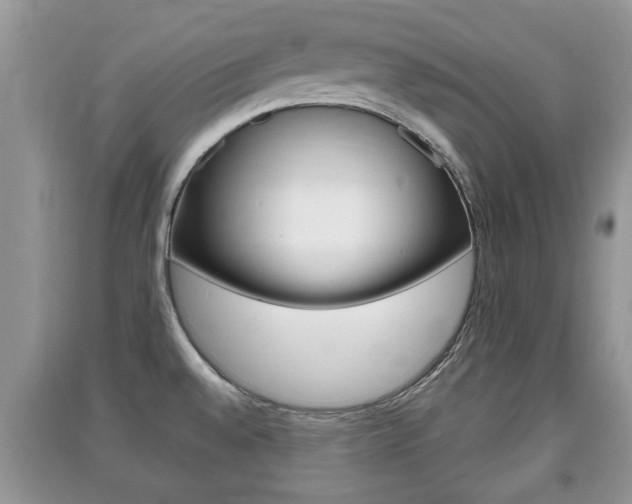 X0000091211528200708091104