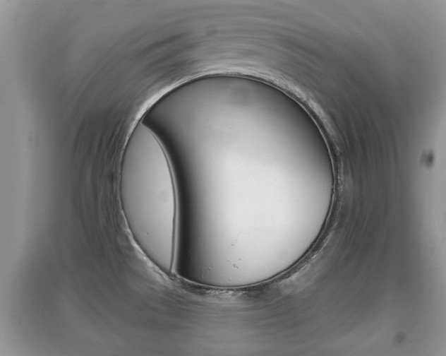 X0000091211529200708091104