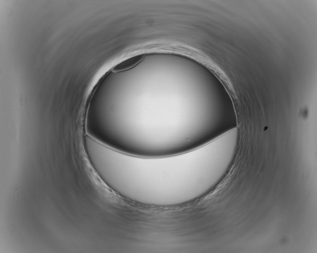 X0000091211530200708091104