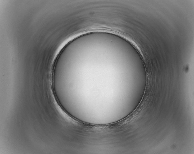 X0000091211531200708091104