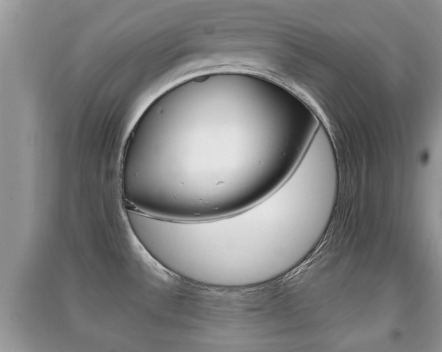 X0000091211532200708091104