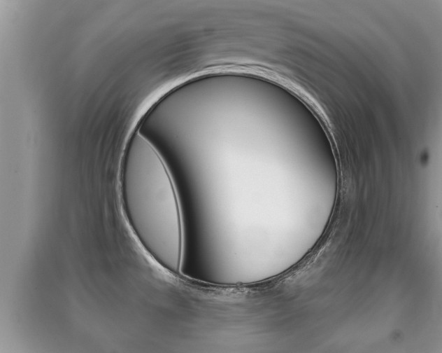 X0000091211533200708091104