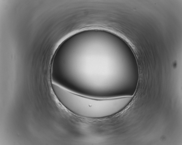 X0000091211534200708091104