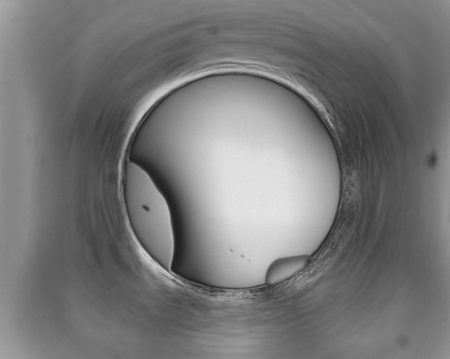X0000091211535200708091104