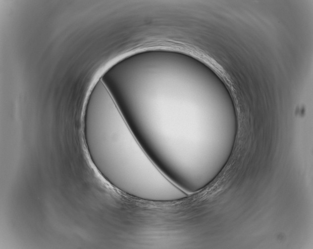 X0000091211536200708091104