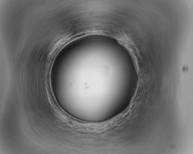 X0000091210001200708091356