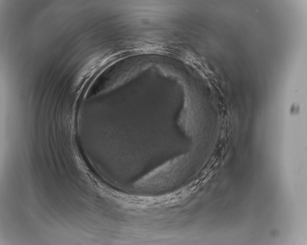 X0000091210002200708091356