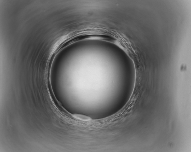 X0000091210003200708091356