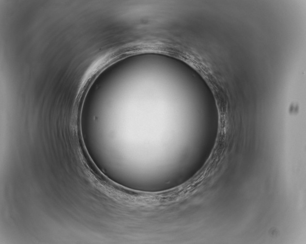 X0000091210004200708091356