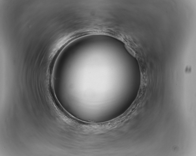 X0000091210005200708091356