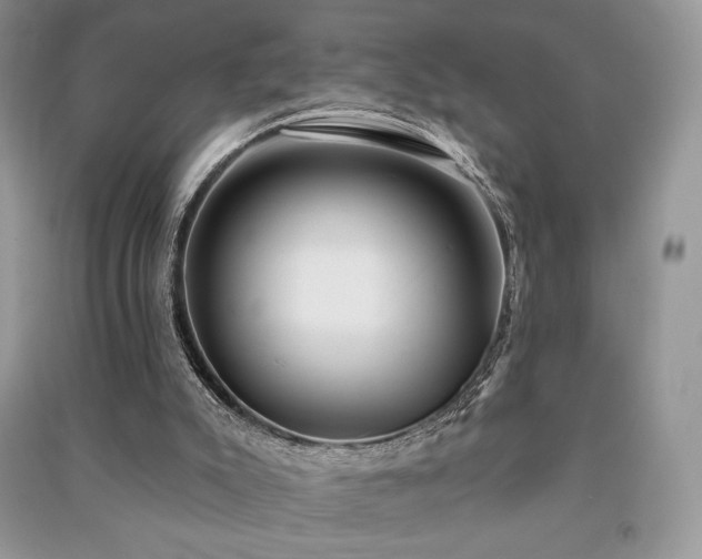 X0000091210007200708091356