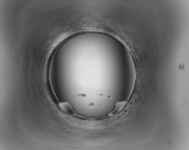 X0000091210008200708091356