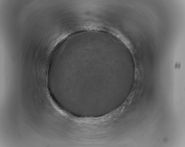 X0000091210009200708091356