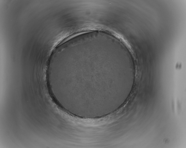 X0000091210010200708091356