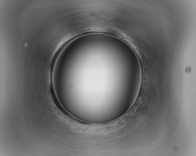 X0000091210011200708091356