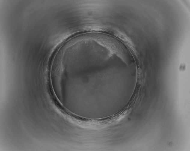 X0000091210012200708091356