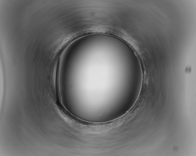 X0000091210013200708091356