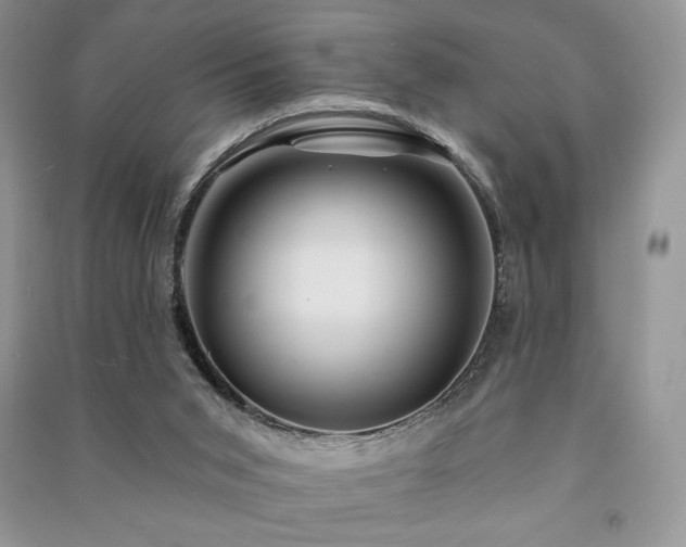 X0000091210015200708091356