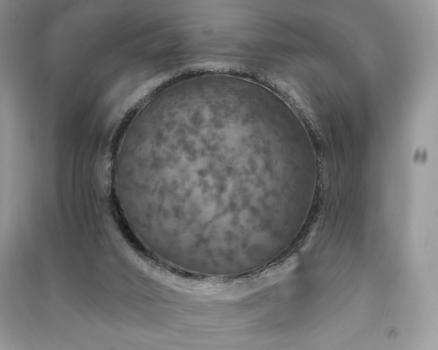 X0000091210016200708091356