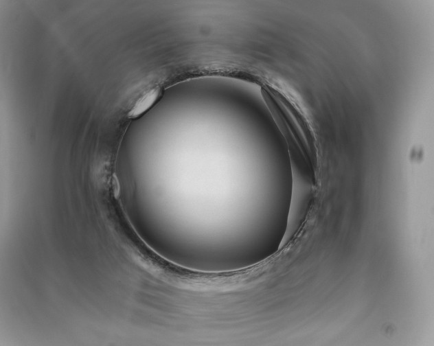 X0000091210017200708091356