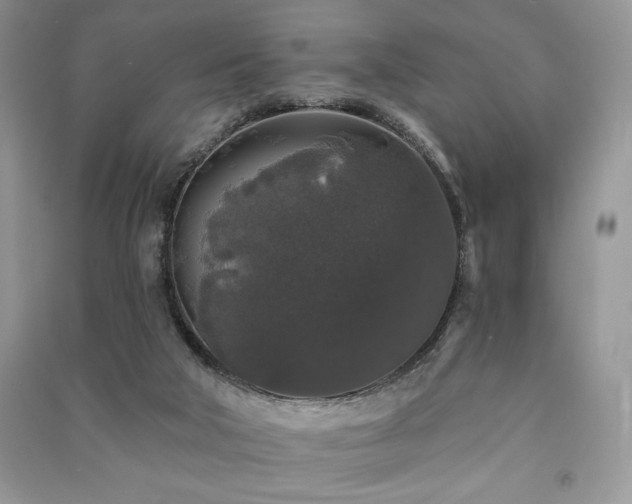 X0000091210018200708091356