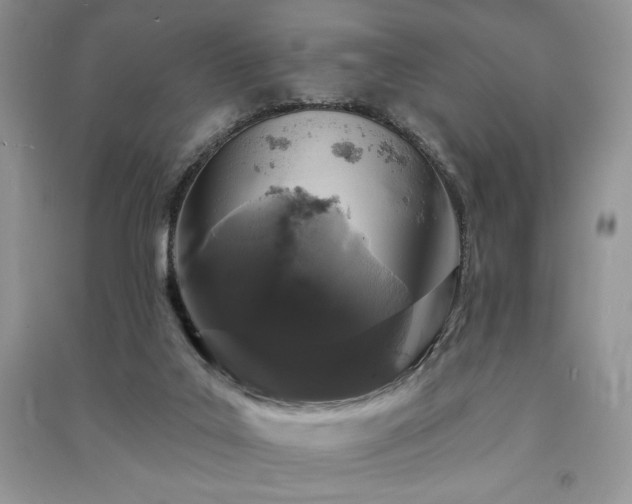 X0000091210019200708091356