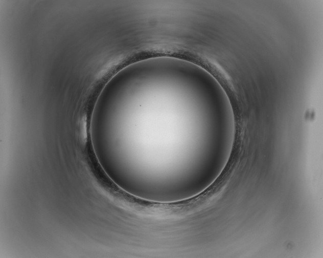 X0000091210020200708091356