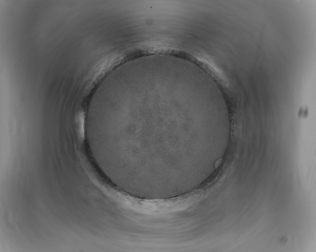 X0000091210022200708091356