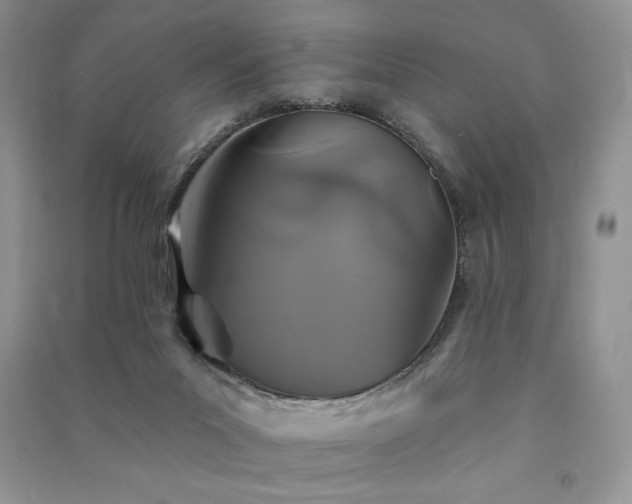 X0000091210023200708091356