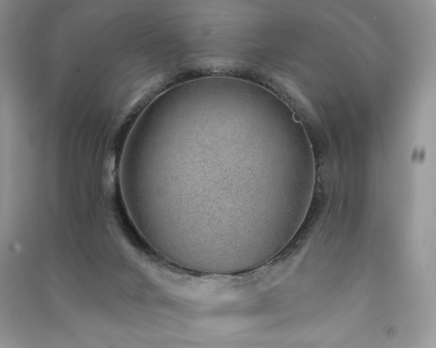X0000091210024200708091356
