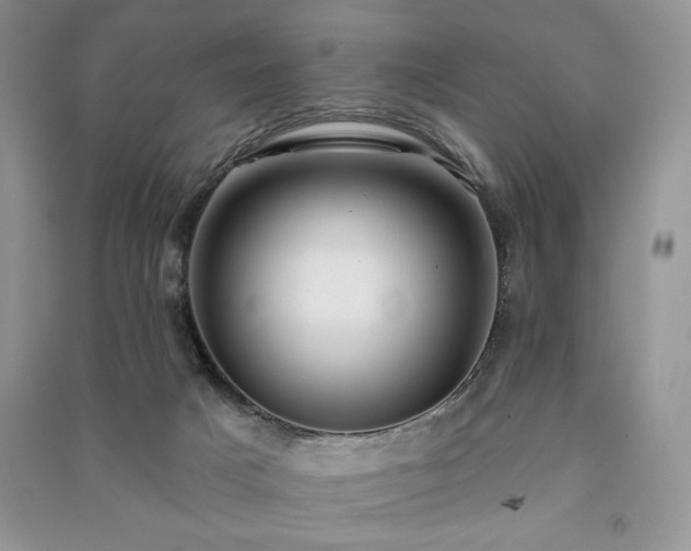 X0000091210025200708091356
