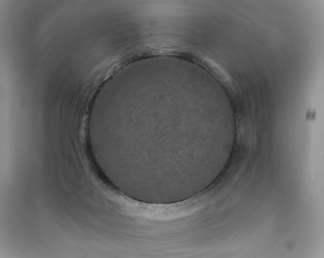 X0000091210026200708091356