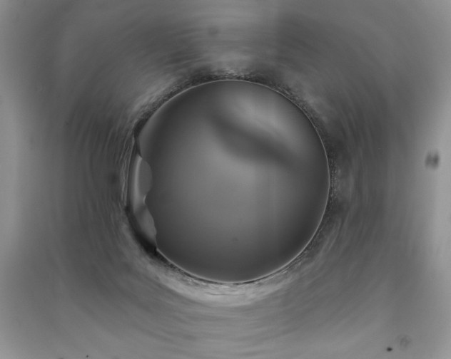 X0000091210027200708091356