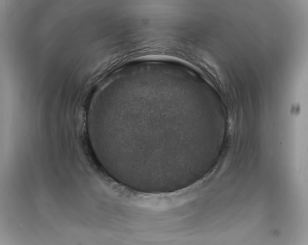 X0000091210029200708091356