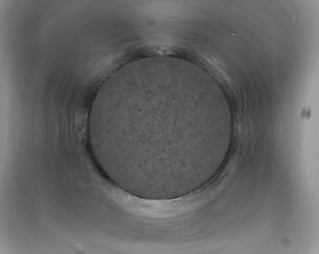 X0000091210030200708091356