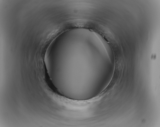 X0000091210031200708091356