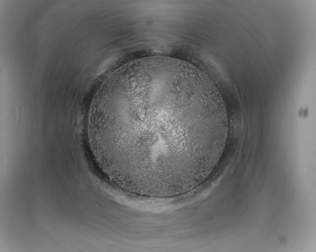 X0000091210032200708091356