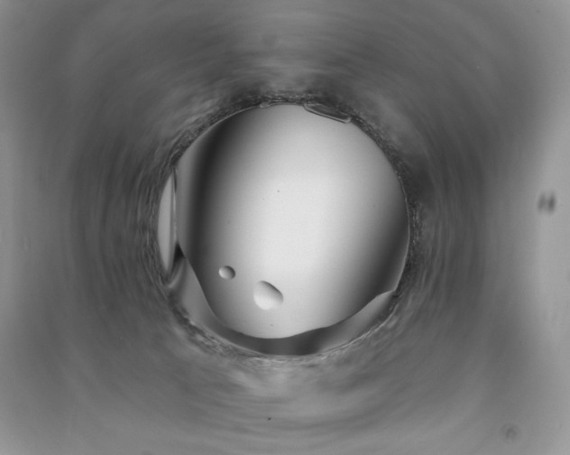 X0000091210033200708091356