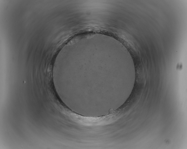 X0000091210034200708091356